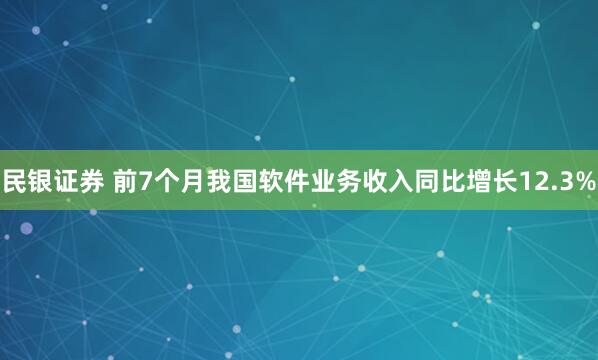 民银证券 前7个月我国软件业务收入同比增长12.3%