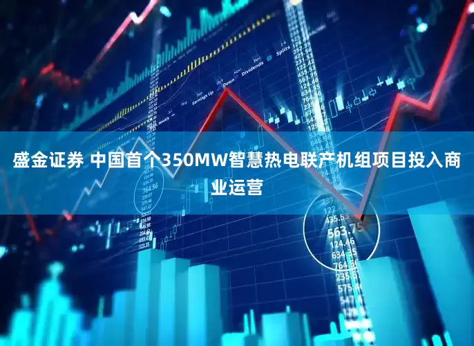 盛金证券 中国首个350MW智慧热电联产机组项目投入商业运营