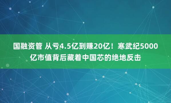 国融资管 从亏4.5亿到赚20亿！寒武纪5000亿市值背后藏着中国芯的绝地反击